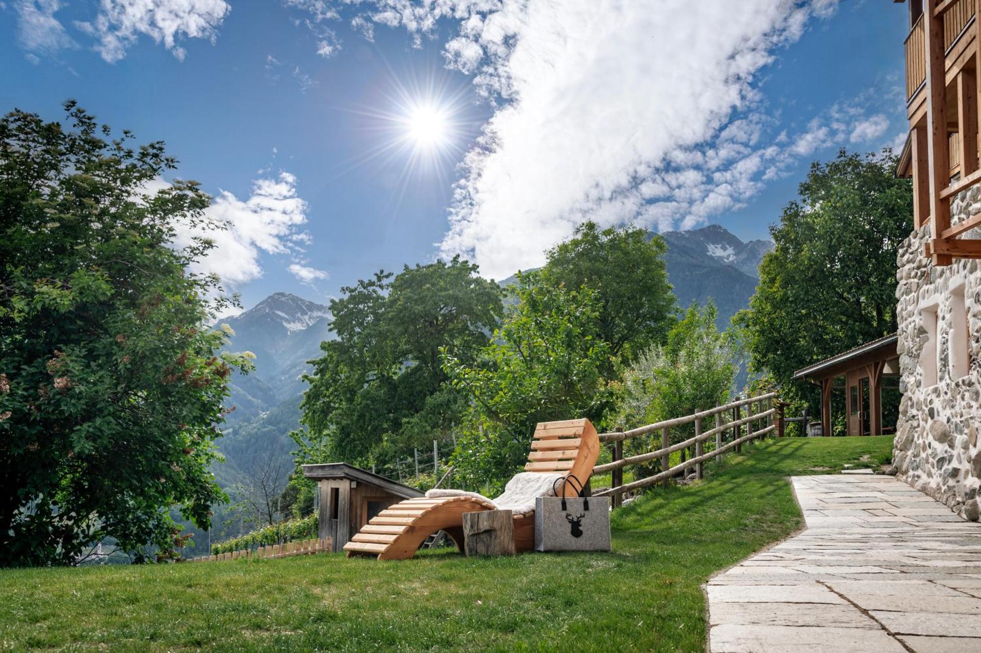 Trinnerhof- Hof Chalets Und Obsthof Mit Zimmer Natz-Schabs 外观 照片