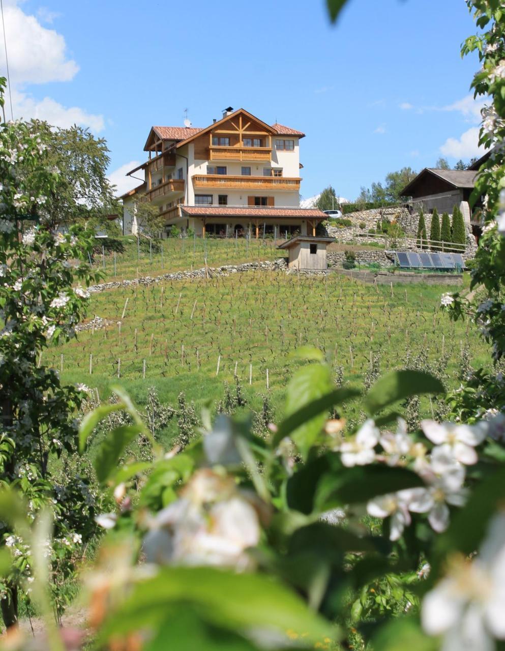 Trinnerhof- Hof Chalets Und Obsthof Mit Zimmer Natz-Schabs 外观 照片
