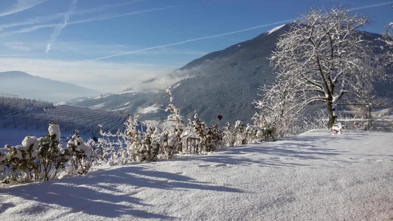 Trinnerhof- Hof Chalets Und Obsthof Mit Zimmer Natz-Schabs 外观 照片
